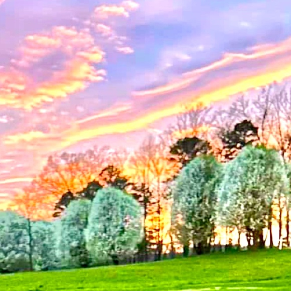 Meet your Posher, Larkin